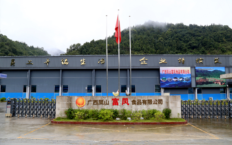 广西凤山草莓短视频食品有限公司