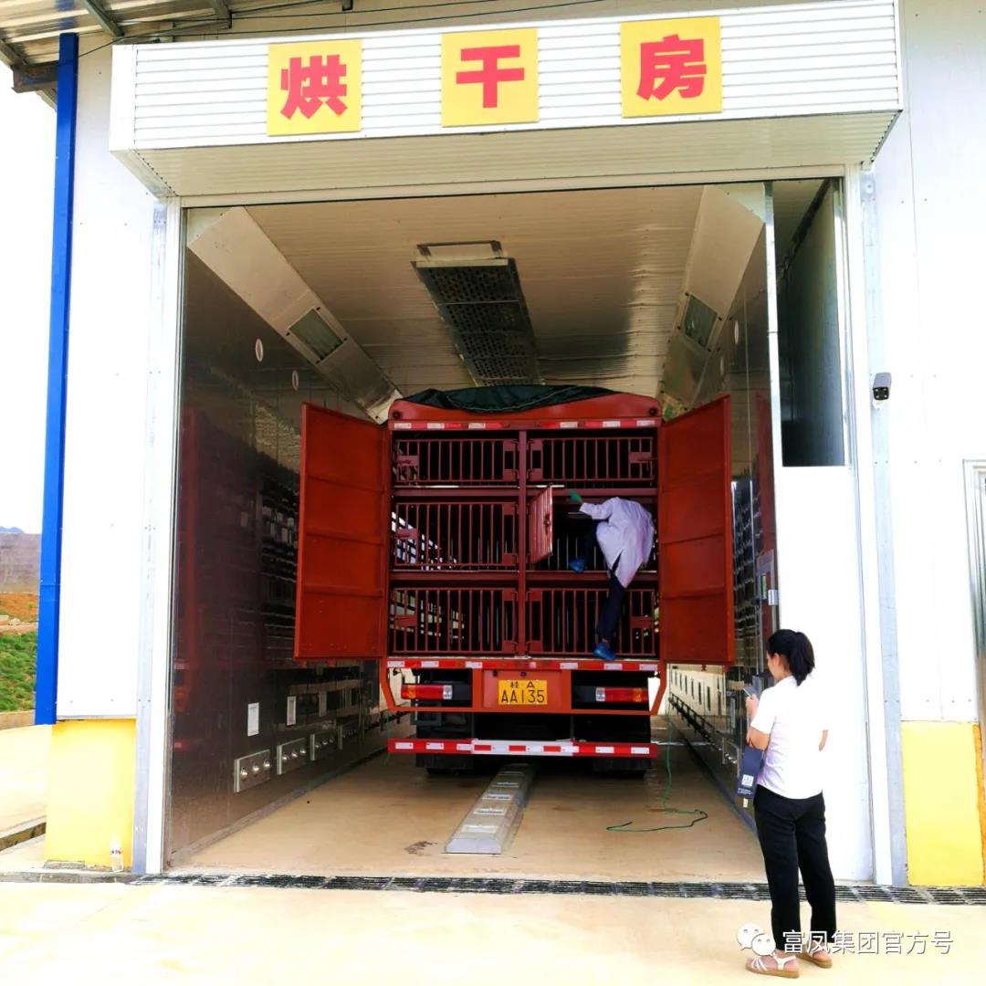 广西草莓短视频集团