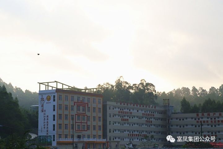 广西草莓短视频农牧集团