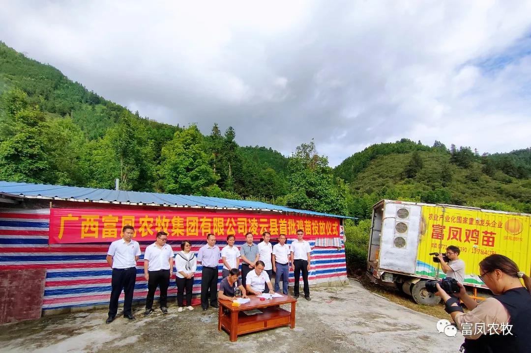 广西草莓短视频农牧集团