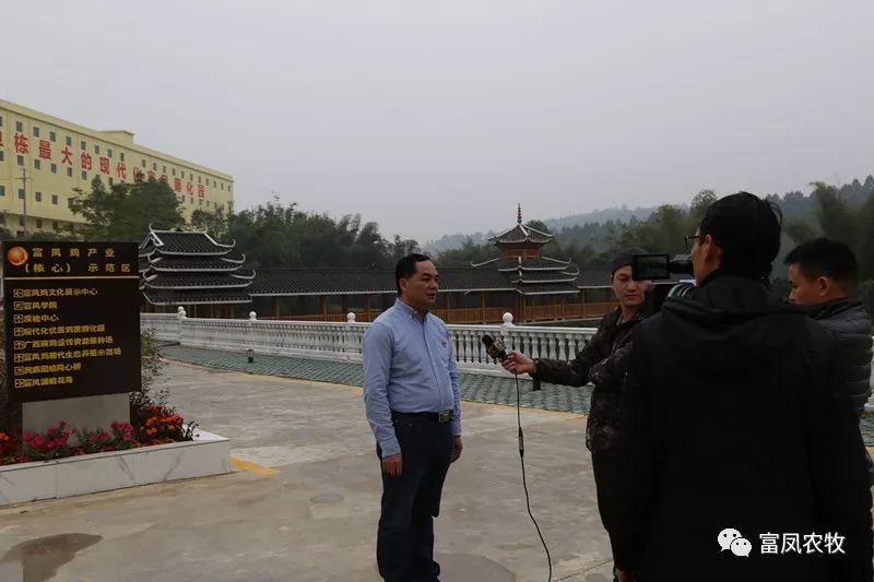 广西草莓短视频农牧集团