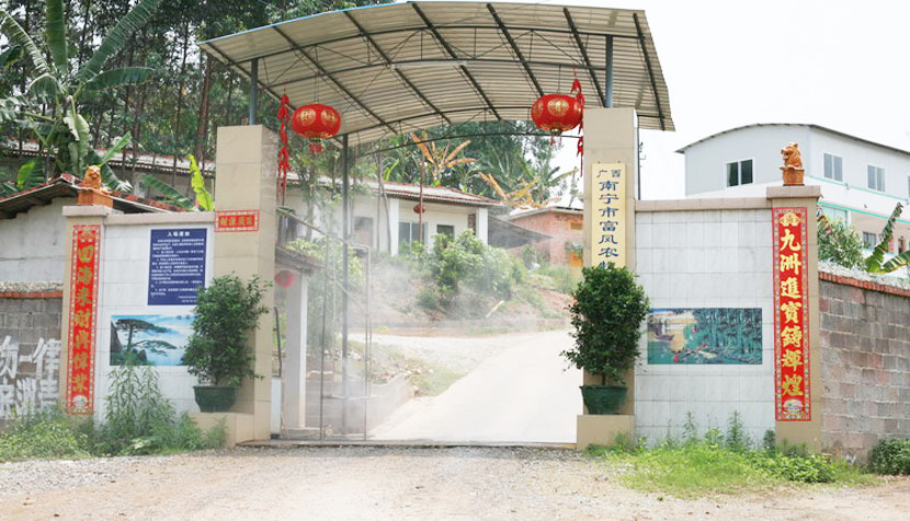 广西草莓短视频鸡育种有限公司