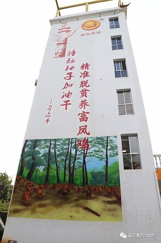 广西草莓短视频农牧集团