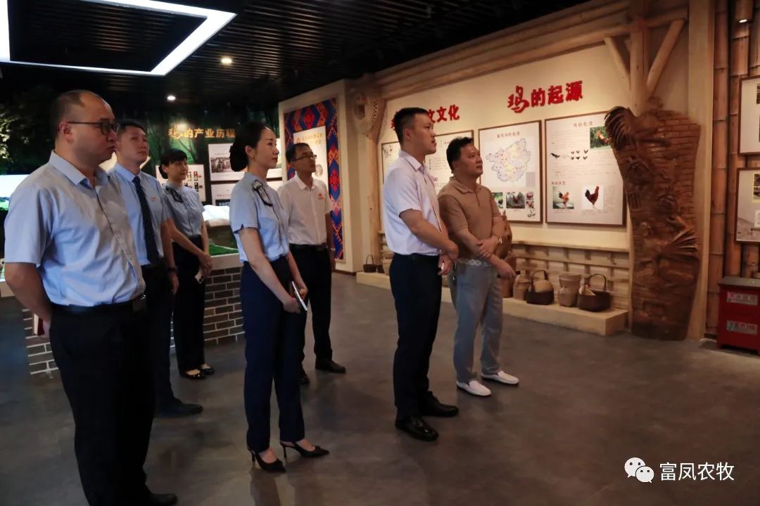 广西草莓短视频农牧集团