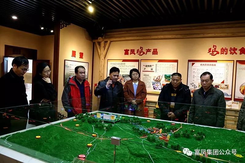广西草莓短视频农牧集团