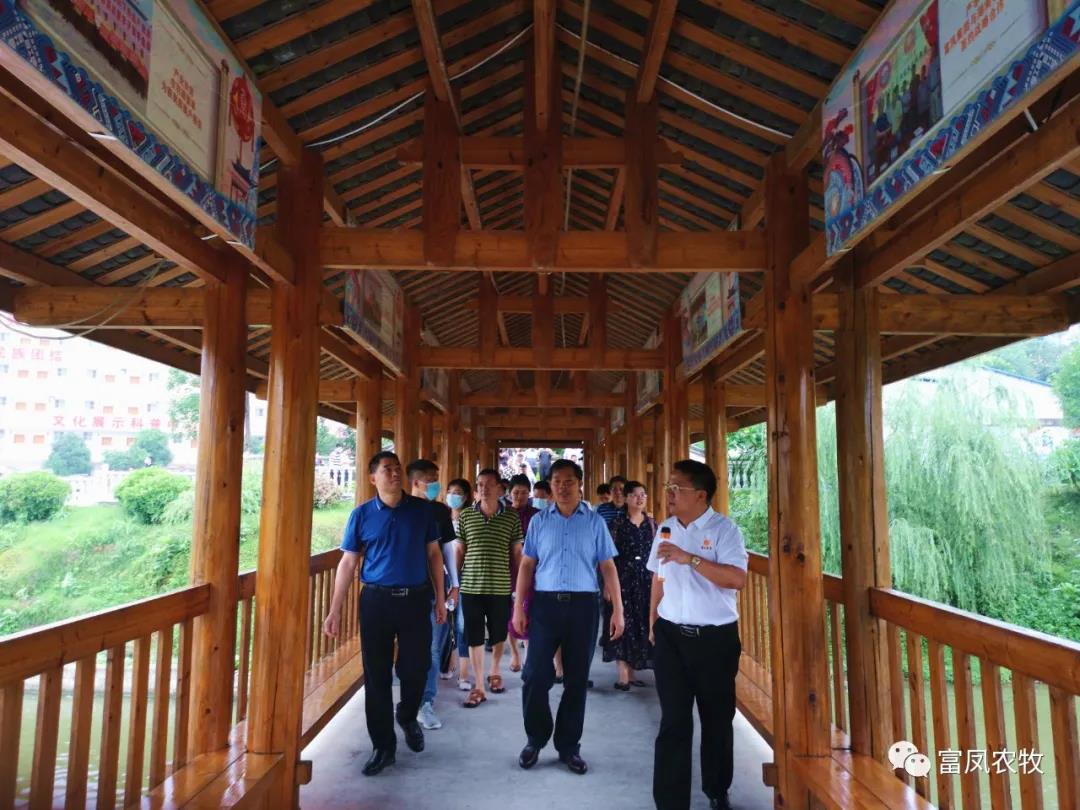 广西草莓短视频农牧集团