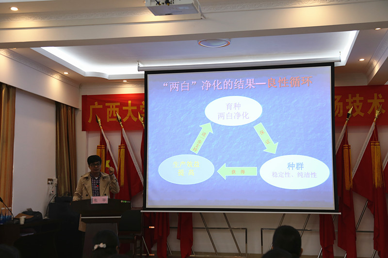 广西草莓短视频农牧集团