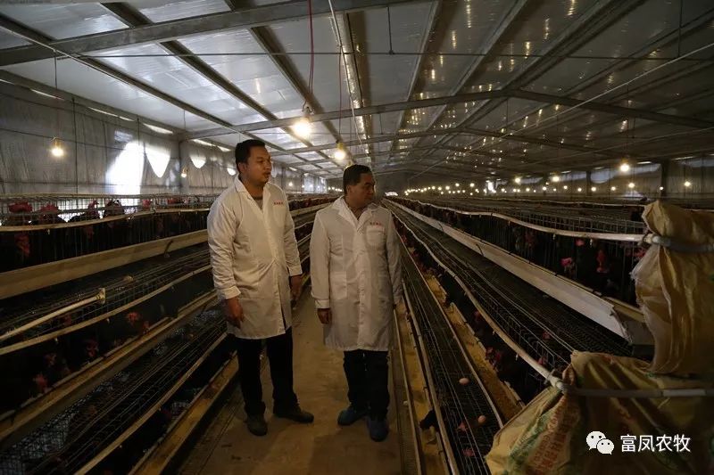 广西草莓短视频农牧集团